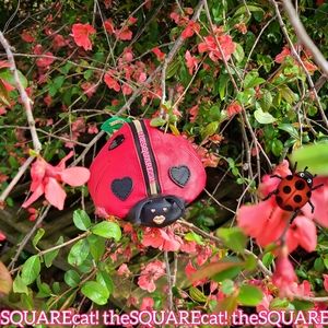 "Luck be a Lady" Lady Bug 🐞 kitsch cute garden kawaii insect spring wristlet 🐞